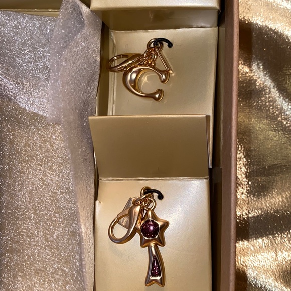 NWT Coach Gift Boxed Corner Zip Glitter Wristlet with Two Removable Charms - Picture 4 of 9